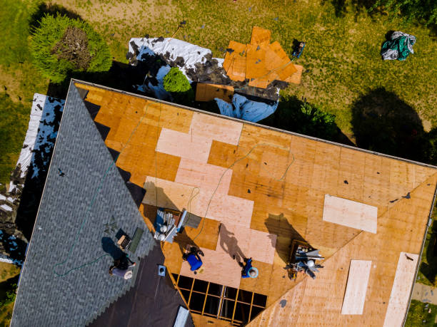 Best Commercial Roof Installation  in Lone Jack, MO