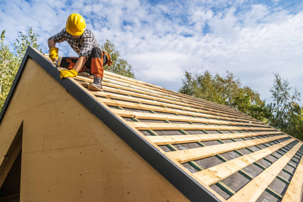 Professional Roofing Contractor in Lone Jack, MO