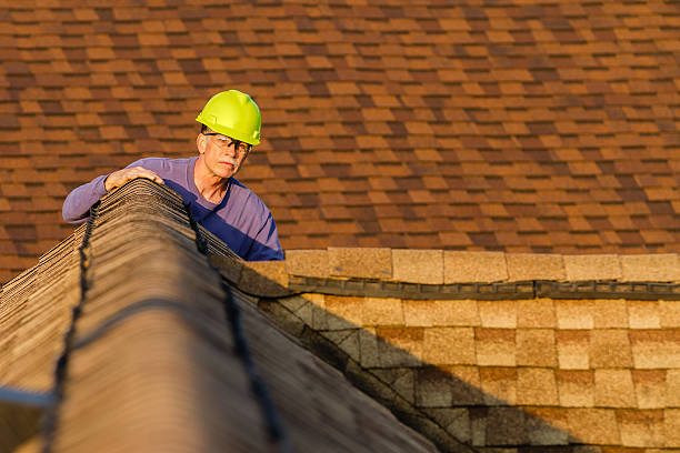 Best Roof Maintenance Services  in Lone Jack, MO